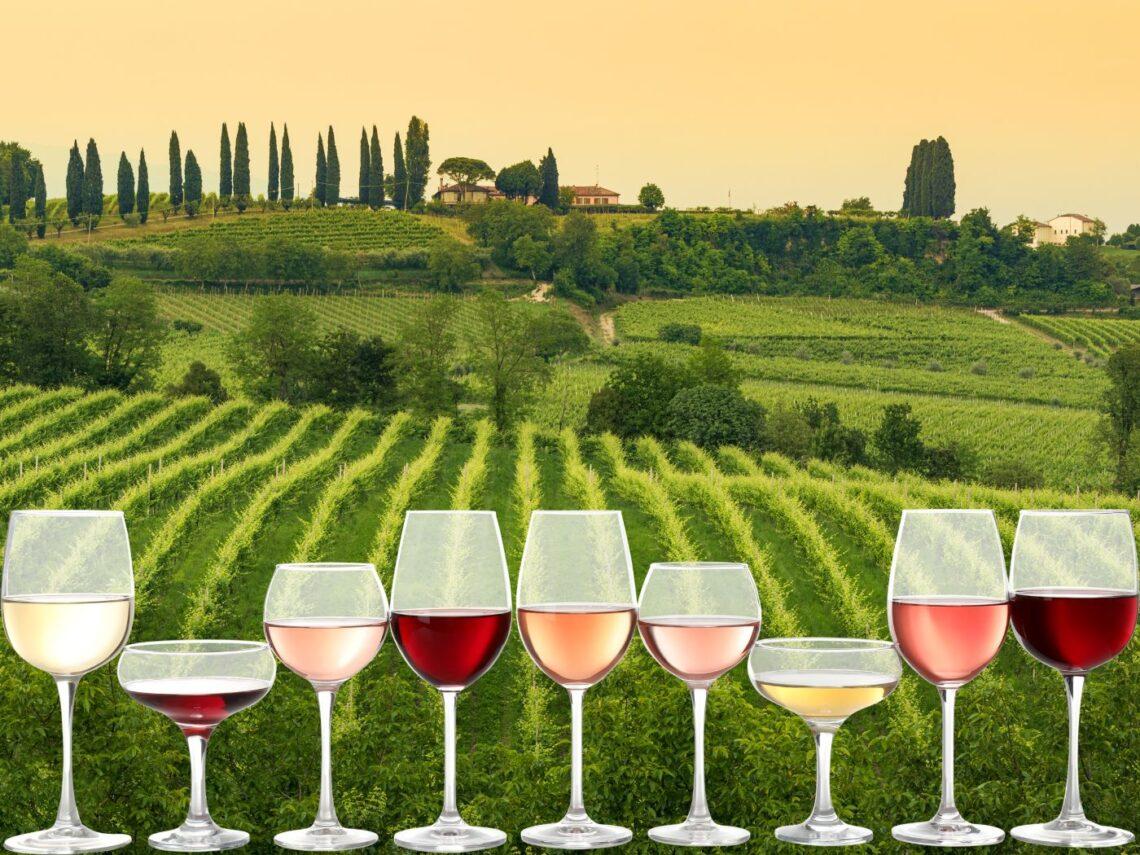Vinetia Tasting 2026: 800 vini e 150 cantine a Santa Lucia di Piave