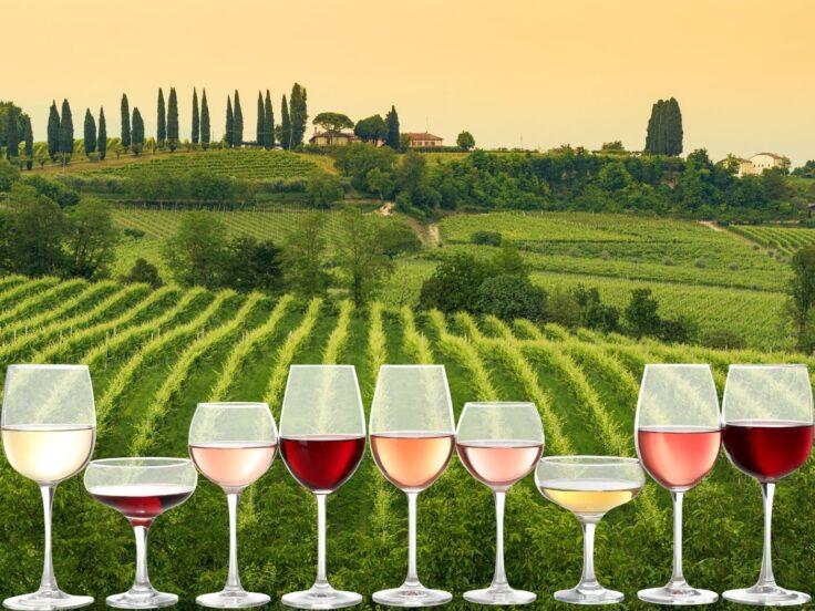 Vinetia Tasting 2026: 800 vini e 150 cantine a Santa Lucia di Piave