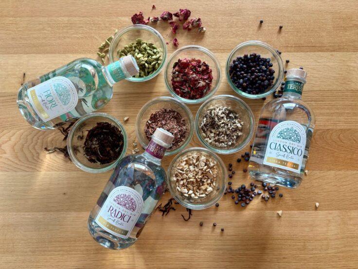 Gin italiano: come nasce, botaniche e segreti dei distillatori