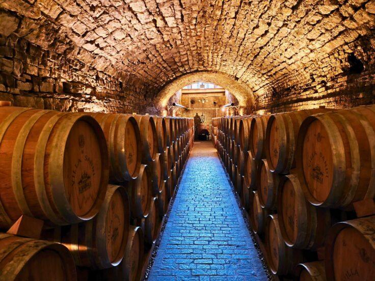 Vino in botte: come il legno cambia davvero aromi e struttura