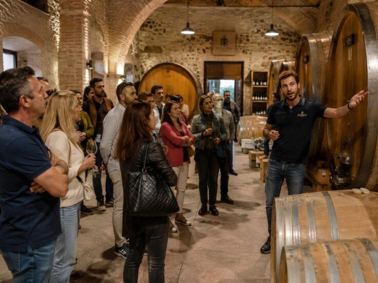 Cantine Aperte 2026: le nuove forme dell'ospitalità in cantina