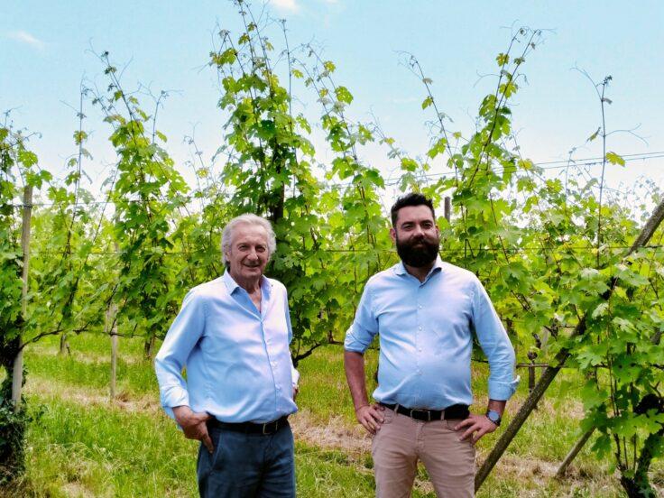 Torraccia del Piantavigna: Ghemme e Gattinara dell’Alto Piemonte