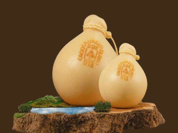 Caciocavallo Silano DOP: un corso per formare i casari del futuro
